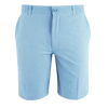 Swannies Sully Men's Shorts - Aquamarine