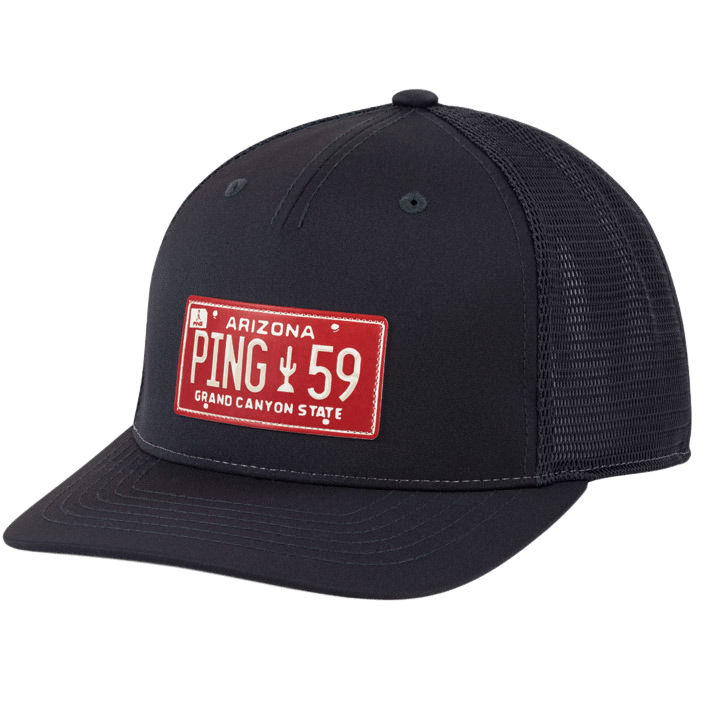 Ping License Plate Hat