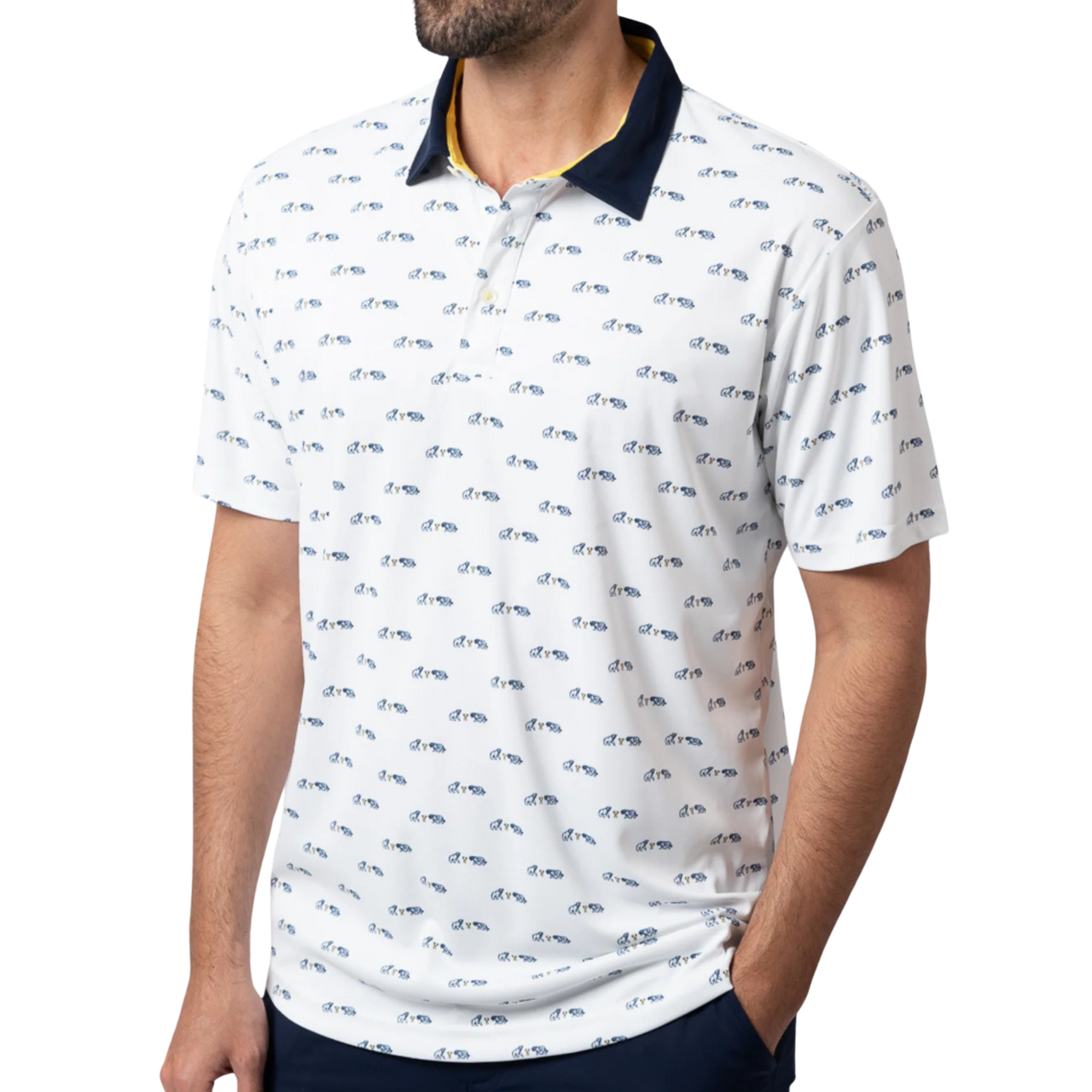 Swannies Dustin Men's Polo