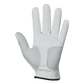 Srixon '23 All Weather Men's Gloves