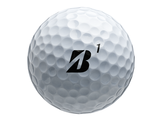 Bridgestone 2023 E6 Golf Balls