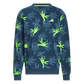 Adidas Oasis Crew Pullover