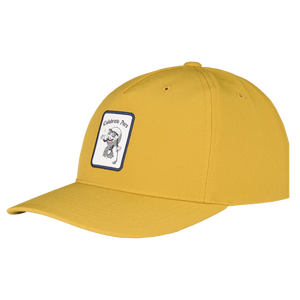 Swannies Fade Men's Hat