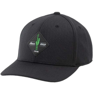 Thumbnail for Ping Cactus Patch Hat