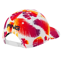 Thumbnail for Ping Electric Sunset Tour Snapback 251