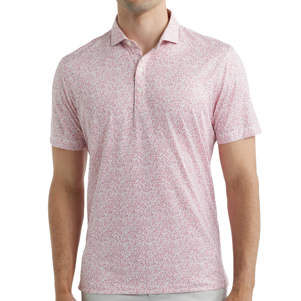 Johnnie-O Watercolors Men's Polo