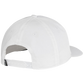 Ping The Anser Cap