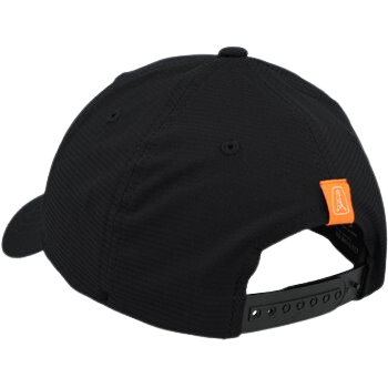 Ping Unstructured Snapback 224