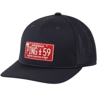 Thumbnail for Ping License Plate Hat 214